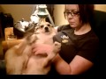 Tickling Zoe