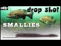 Tips for Drop Shotting Smallmouth Bass in Grass