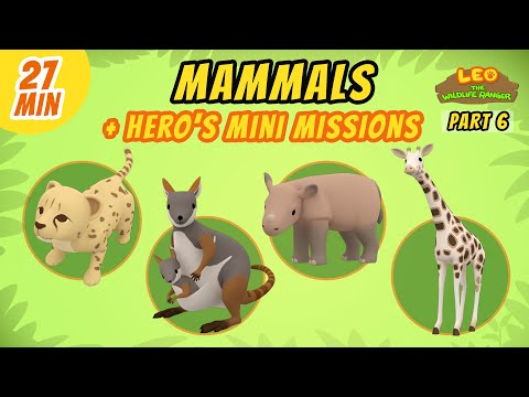 Witness21 Editor  2021 05 01