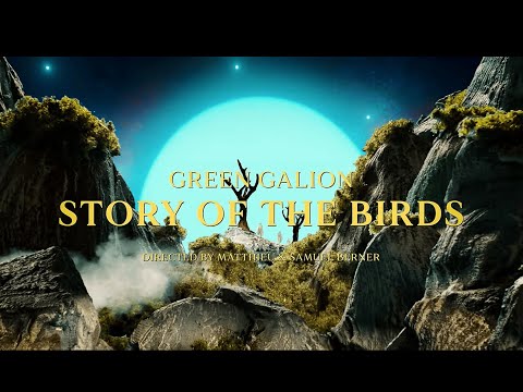 Play Video Youtube Video