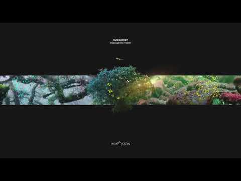 Djseaneboy  - Enchanted Forest