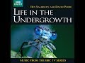 Life in the Undergrowth (2005) - Ben Salisbury & David Poore