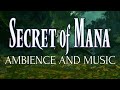 Secret of Mana Music & Ambience | Serene forest setting
