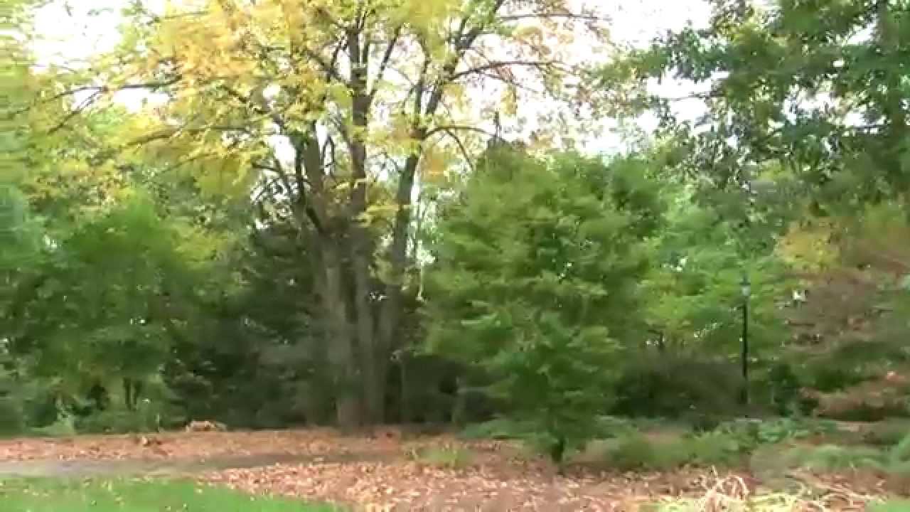 View from the Hill - Baker Museum & Arboretum Reopens Video Preview