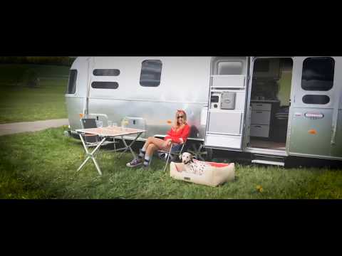 DOGSTYLER® Series55 - Rock´n Roll Hundebett der Extraklasse// Werbung #0053