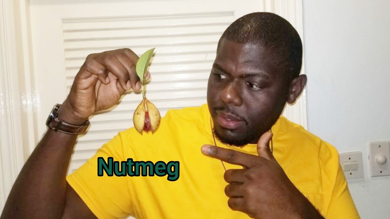 Nutmeg Spice Review / Nutmeg Fruit / What is Nutmeg? / Best Spice