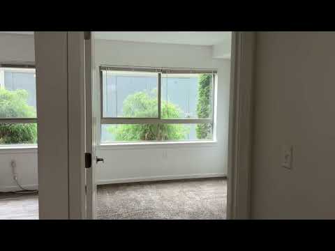 CORNI01 - Video 2 of 2