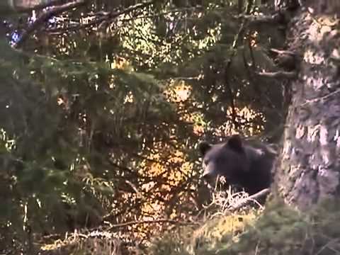 Pe piciorul Pietrei Arse