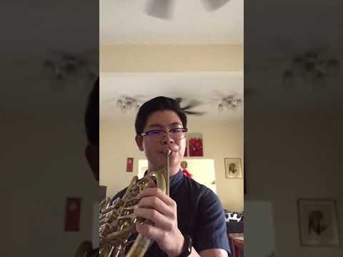 Tchaikovsky Symphony No. 5 - horn solo (2nd movement)