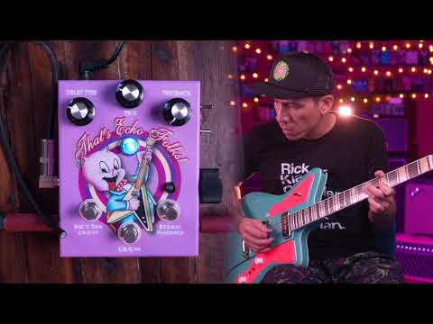 MG MUSIC THAT'S ECHO FOLKS WITH PIG TAIL DELAY image 6