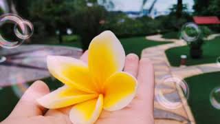 너 뿐이라고 말하진 못해도 (I Can&#39;t Say It&#39;s Only You)