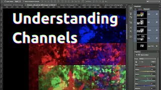 Understanding Channels in Photoshop