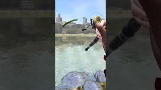 I caught a Bleak. #gaming #fishing