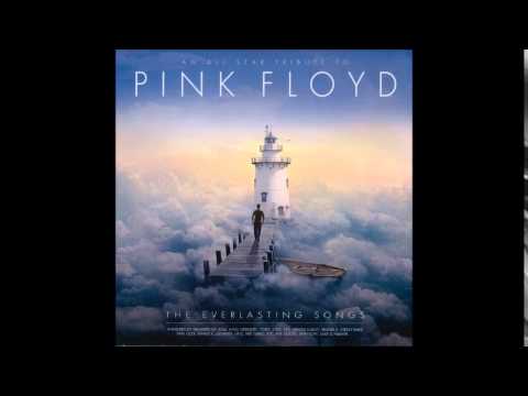 Shine On You Crazy Diamond - Steve Lukather (Toto)