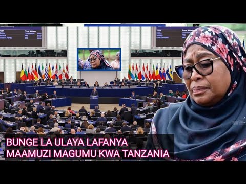 BUNGE LA ULAYA LAFANYA MAAMUZI MAGUMU KWA TANZANIA KUIPA MSAADA 