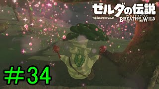 【実況】見落としが多い勇者の冒険part34【ブレスオブザワイルド】