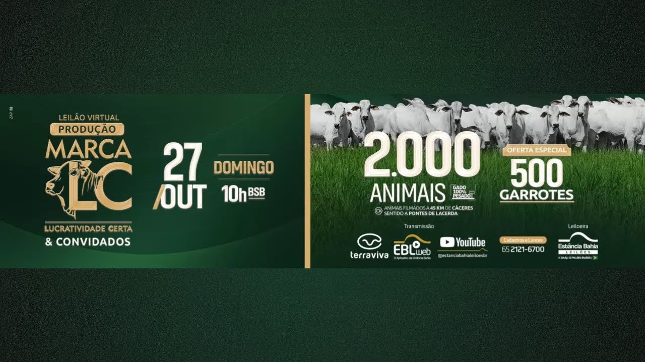 Leilão Virtual Produção Marca LC & Convidados | 27/10/2024 10H