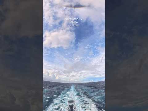 Thumbnail for My Therapy放鬆#sun#princess#cruise#holiday#new#holidaysatsea#sunprincess#water#sea#trip