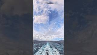 My Therapy放鬆#sun#princess#cruise#holiday#new#holidaysatsea#sunprincess#water#sea#trip