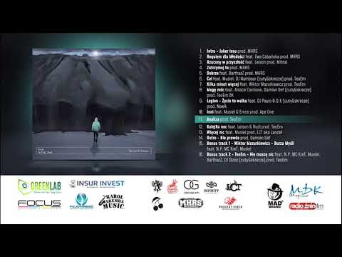 11. N.P.MC Kret - Analiza (prod. Teoem)