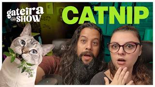 CATNIP para o seu GATO | Gateira Live Show #019