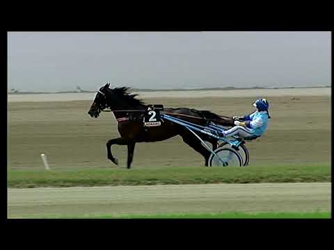 Napoli Trotto 02/05/2021 - 2ª corsa