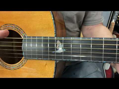 Williams Kiwi 2005 - Taraire/Kauri Acoustic Guitar w/ Original Case -Very Rare! image 16