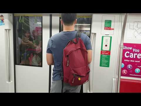 [Bukit Panjang Terminus] DTL Bombadier C951 442 [DT8 Tan Kah Kee to DT1/BP6 Bukit Panjang]