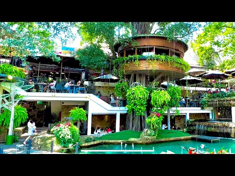 Quán Cafe Đẹp 🌱 Quán Cafe Sân Vườn Du Miên Coffee Garden Đẹp Nhất Gò Vấp