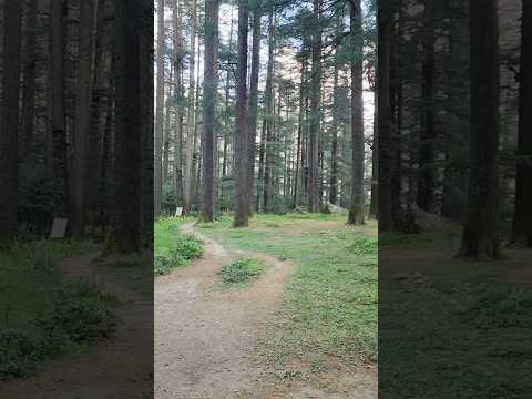 Nature Park Manali – A Peaceful Walk in the Lap of Nature 🌲❄️ #manali #manalitrip