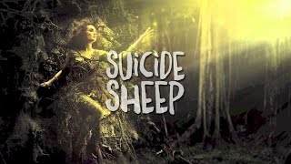 Movement - Like Lust