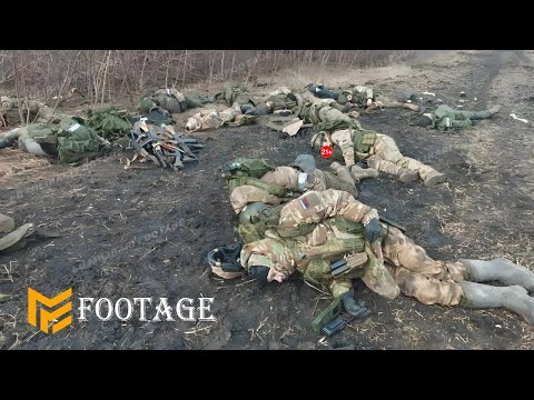 Ukrainian Special Forces Brutally Revenge Kills 30 Russian Troops in Dobropillia Direction