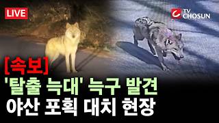 [???? 무조건 간다 LIVE] 대전 오월드 탈출 늑대 발견···포획 성공하나