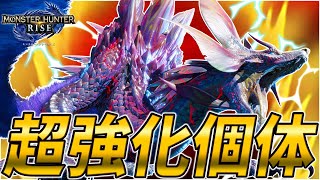 超強化されたヌシタマミツネが暴れたらそりゃヤバいんだわ【モンスターハンターライズ】