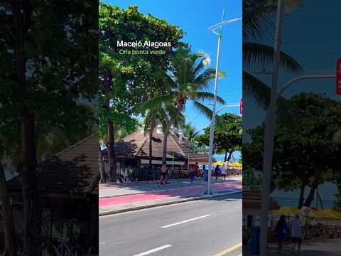 #praiasdonordeste #turismo #maceioalagoas #praia