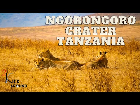 Ngorongoro Crater Safari Ep.69 - XR600R Africa Dualsport Adventure 2022