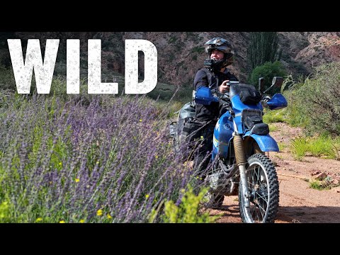 CANYON of FORGOTTEN RIVERS  (never seen before in Kyrgyzstan) | S8, EP109