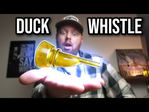 Duck Whistles 101 - Everything You Need To Know