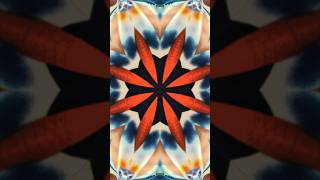 Thela Hun Ginjeet - Colonel Les Claypool&#39;s Fearless Flying Frog Brigade