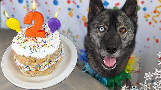 How To Make a Apple Chicken Birthday Cake For Dogs 🎂 DIY Dog Treats