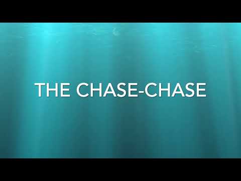 11 The Chase Chase - GPS - TWITW