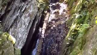 Savoy Mountain Forest, Massachusetts