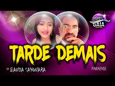 BANDA SAYONARA - TARDE DEMAIS - KARAOKÊ