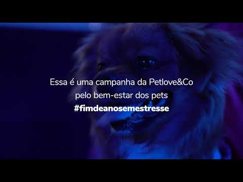 Petlove lança vídeo de conscientização para campanha Fim de Ano Sem Estresse->