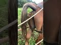 More Poop