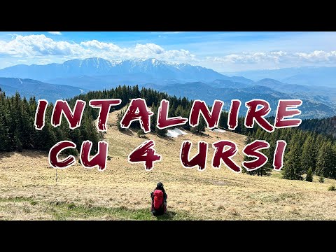Sez.2/Ep.9 - Aventură în Piatra Mare: Întâlnire cu 4 Urși și un Cocoș de Munte!