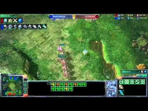 SHOUTcraft - SCi2 - Finals : Socke (P) vs DDE (T) G3