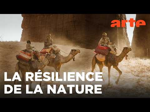 Les écrins sauvages de la nature | ARTE Évasion