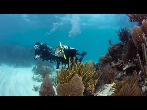 NAUI Leadership Training Video