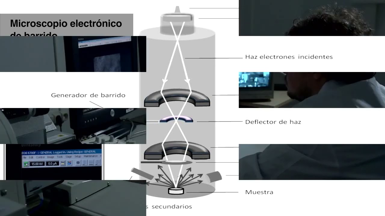 MICROSCOPÍA ELECTRÓNICA DE BARRIDO SEM